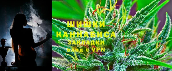 дживик Богородицк