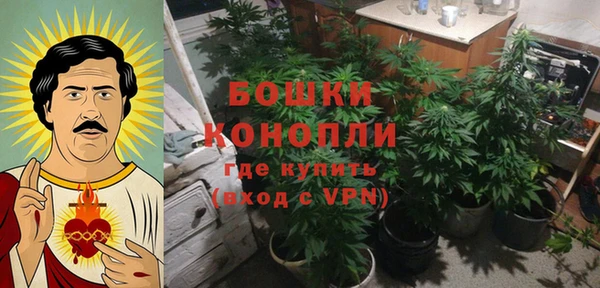 apvp Богородск