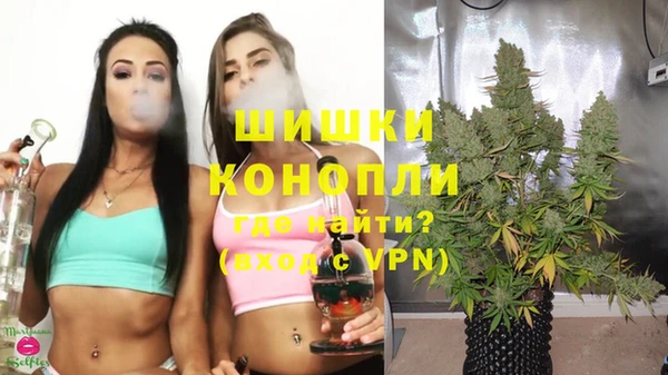 дживик Богородицк