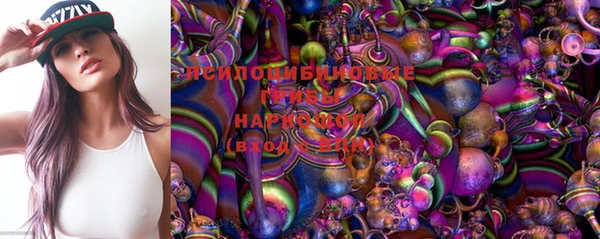 дживик Богородицк