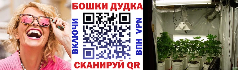 Конопля Amnesia  omg tor  Истра  цена наркотик 